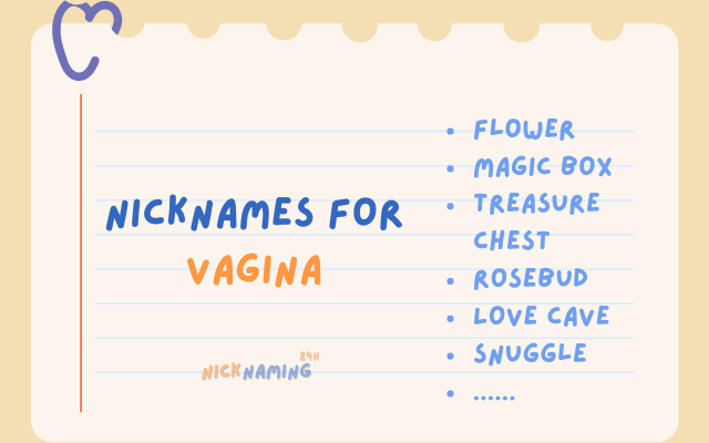 Nicknames for Vagina